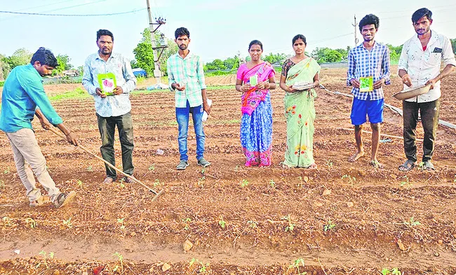 ఏటీఎం మోడల్ సాగుతో నిరంతర ఆదాయం