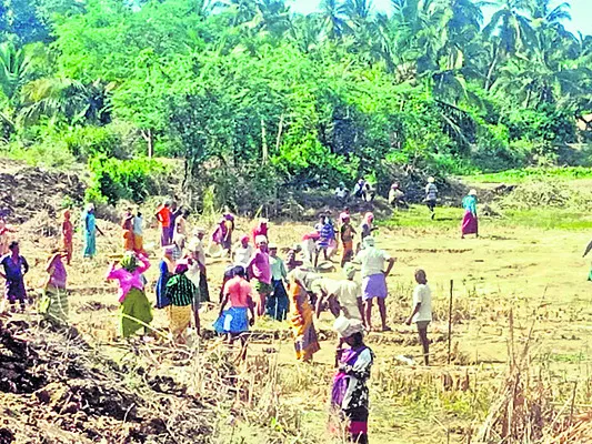మస్తర్లలో మాయాజాలం!