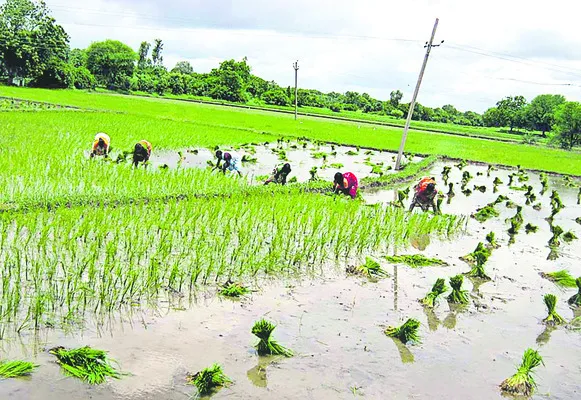 రైతులందరికీ భరోసా అందిస్తాం