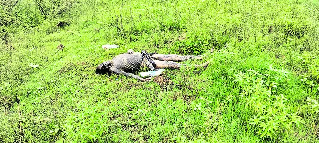 రిక్షా కార్మికుడి మృతదేహం లభ్యం 