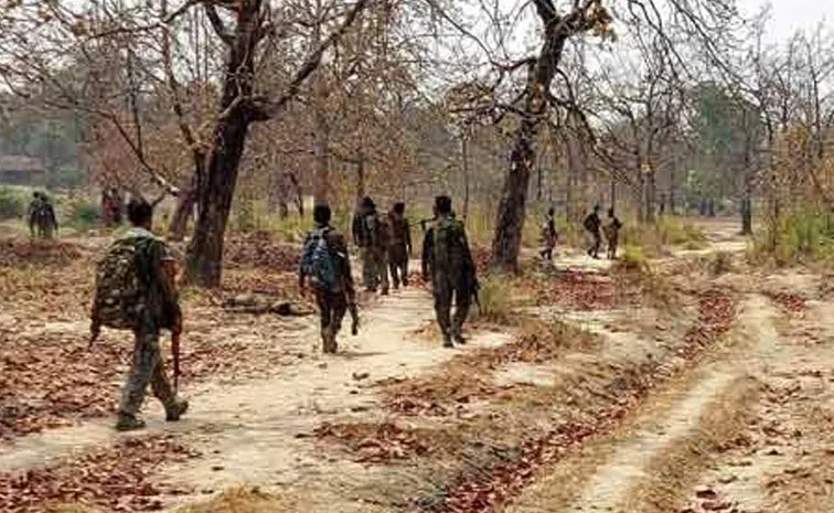 Three Maoists Death in Andhra Pradesh Exchange of fire