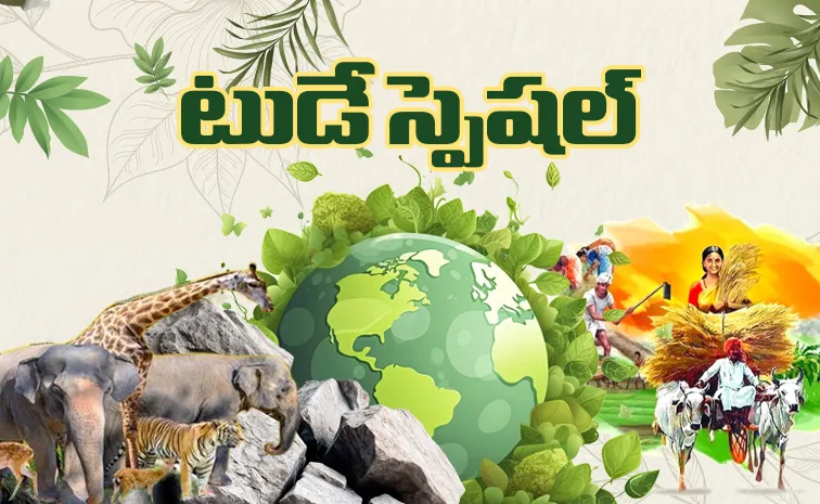 Tip of the day కాన్‌సంట్రేషన్‌ కుదరడం లేదా? ఇవిగో చిట్కాలు!