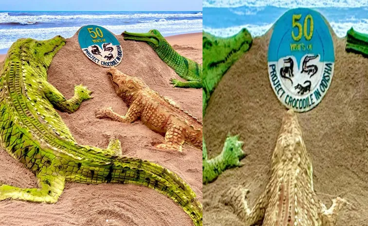 World Crocodile Day 2025 : ఇంట్రస్టింగ్‌ ఫ్యాక్ట్స్‌, అలరించిన  సాండ్‌ క్రొకోడైల్స్‌