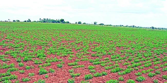 రైతులపై బీమా బండ