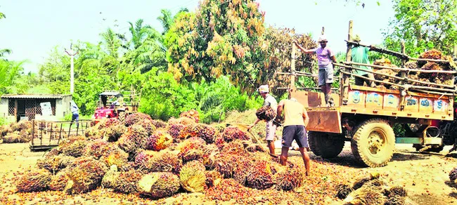 లాభాల