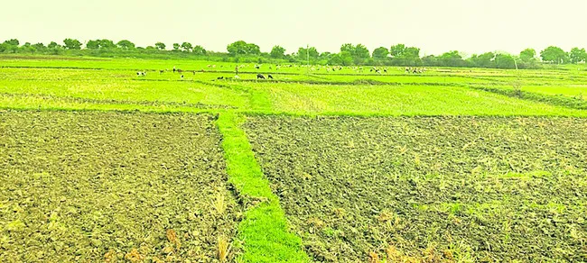 సాగులో సవాళ్లు..!