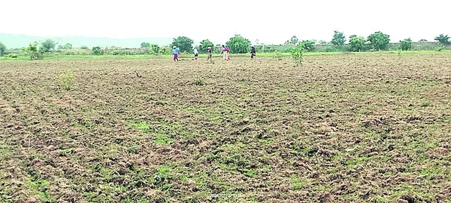 శిఖం