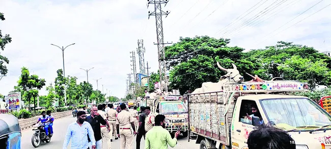 12 ట్