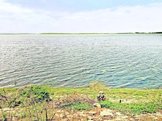 పూండిలో తగ్గుతున్న నీటిమట్టం