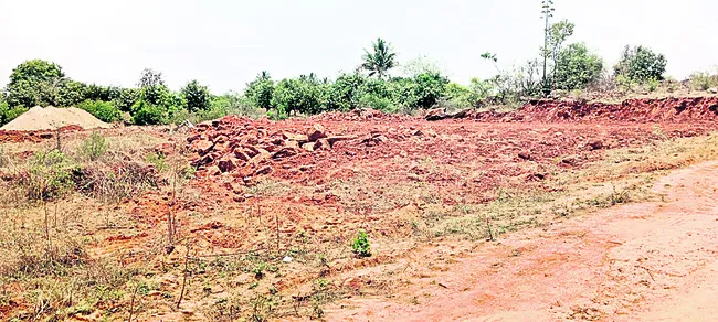విద్య
