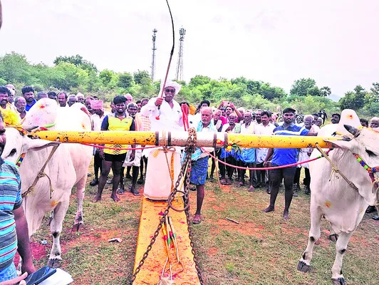 ఉత్సాహంగా ఎడ్ల బండలాగుడు పోటీలు