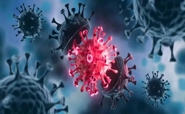 CORONA VIRUS: 3 new deaths recorded on Delhi