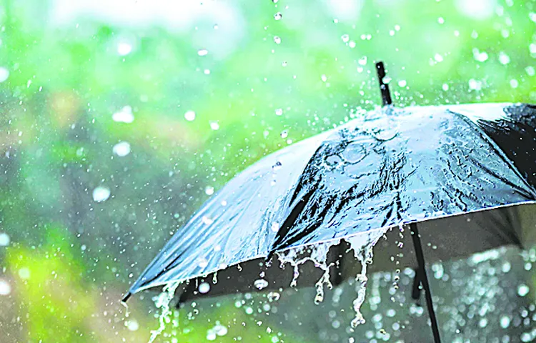 Light rains in the state due to the influence of westerly winds