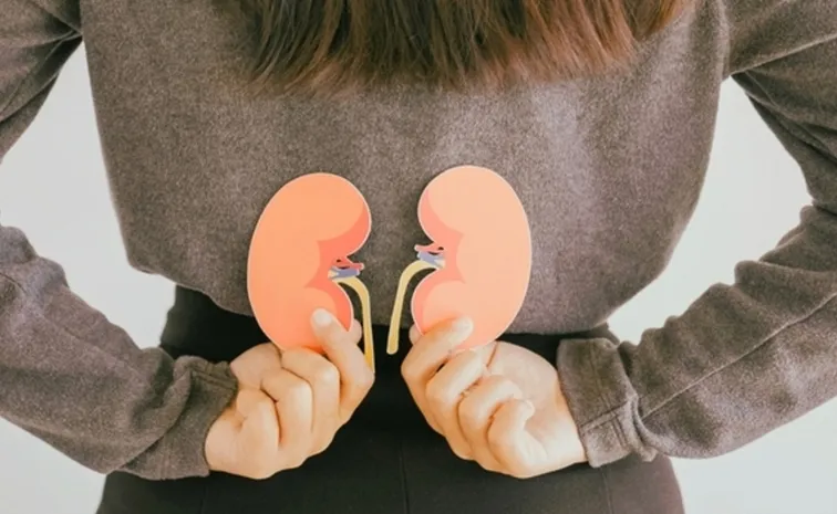 World Kidney Cancer Day 2025 :  ఆ సమస్య తొలి సంకేతం కావచ్చు!