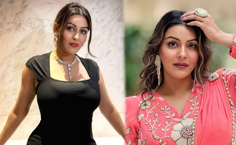 Actress Yamini Malhotra Prepares For South Industry Comeback