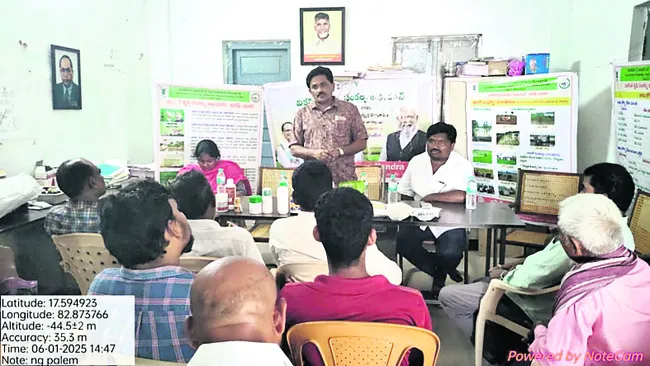 యాజమాన్య పద్ధతులతో అధిక దిగుబడులు