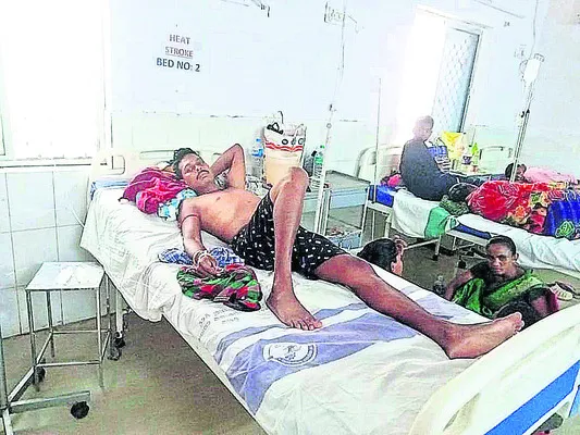 జొరిపంగలో మలేరియా విజృంభణ