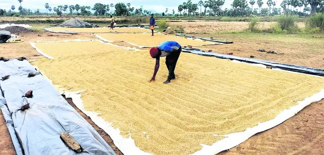 అన్నదాతా దుఃఖీభవ !