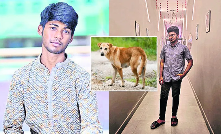 కుక్క అడ్డురావడంతో బైక్‌ అదుపు తప్పి..