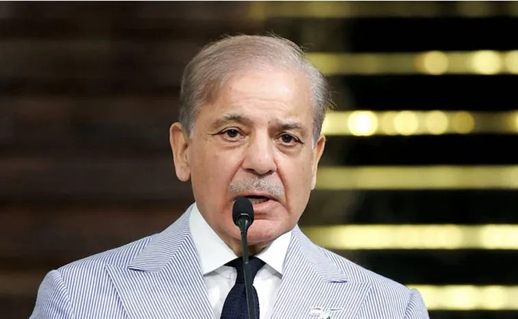 Shehbaz Sharif Says Pakistan Now In Begging Stage2