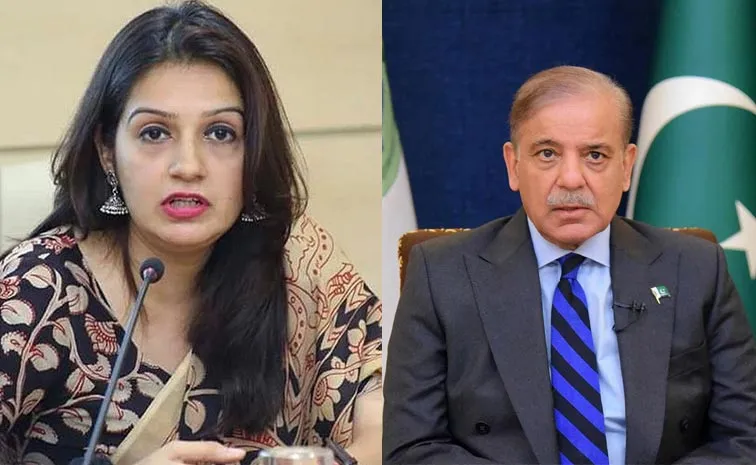 MP Priyanka Chaturvedi Says India Hosts G20 And Pak Hosts T202