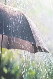 Sakshi Editorial On Summer rains and Environmental scientists2