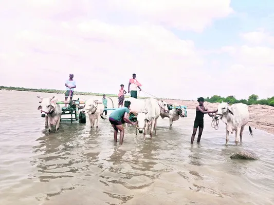 మురిసిన పెద్దధన్వాడ 