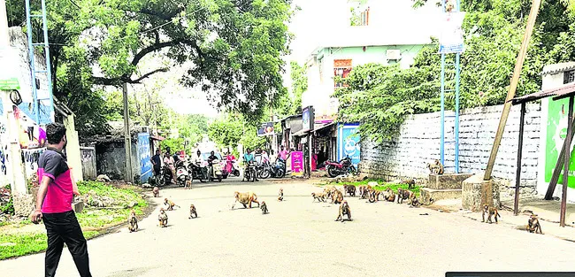 ఆపరేష