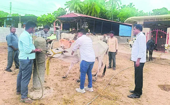 సంక్ష