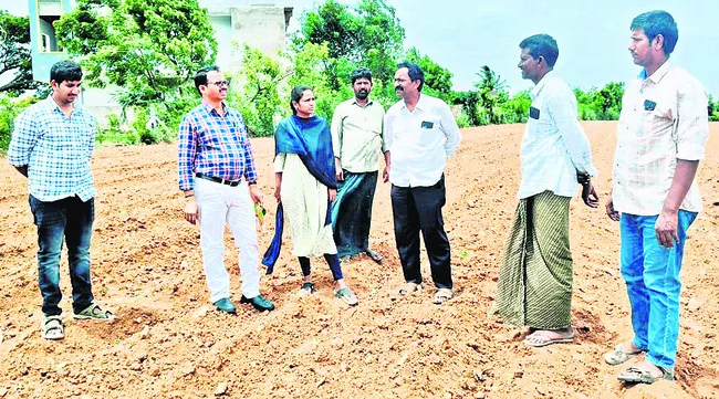 ఆధునిక విధానాలతో  లాభసాటిగా సాగు
