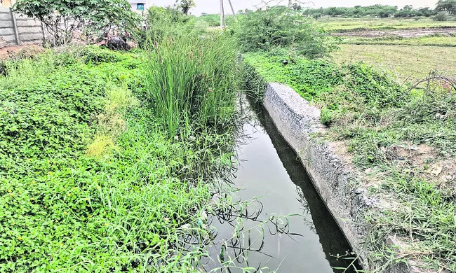 అధ్వా