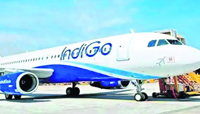 పక్షిని ఢీకొన్న ఇండిగో విమానం 