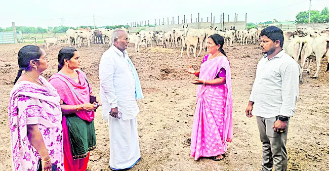 ఘనజీవామృతంతో నేల సారవంతం