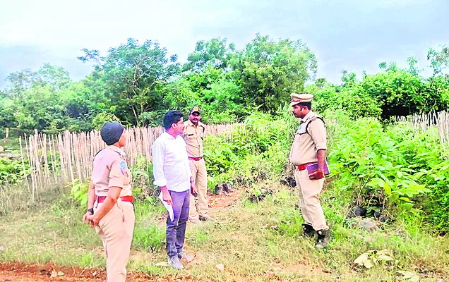 మొక్కల పెంపకంలో జాగ్రత్తలు పాటించాలి