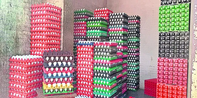ధర ‘ఎగ్’బారుతోంది!