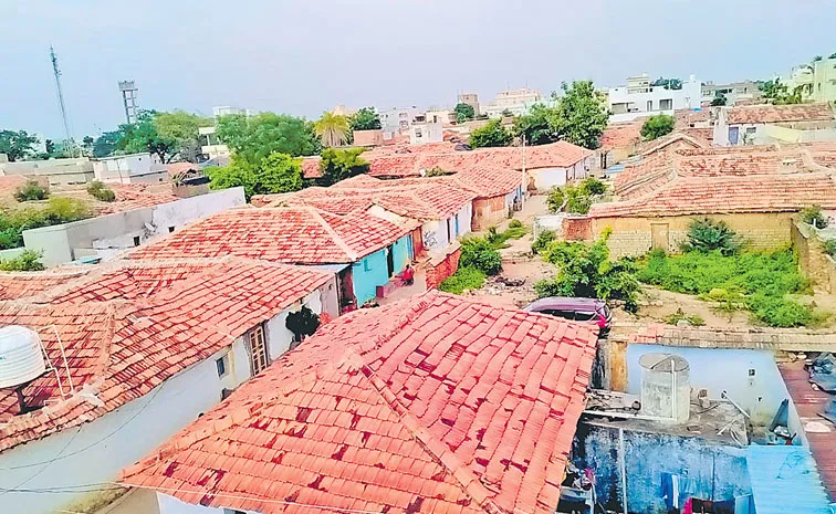 How Betel Leaf plantation disappear from Kamareddy Bibipet