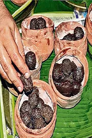 Ayurveda therapy for Jagannath and siblings At puri3
