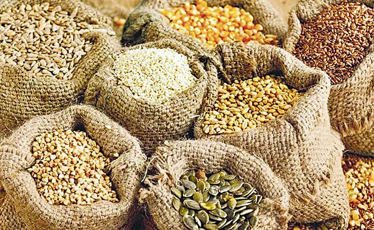 Andhra Pradesh govt focuses on seed distribution11