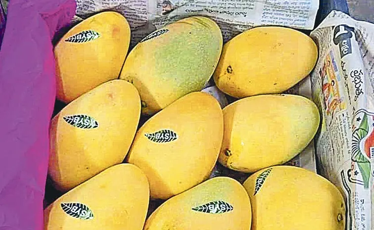Ulavapadu mangoes exported abroad