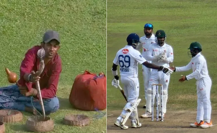 Snake Charmer Enjoys Sri Lanka-Bangladesh Test With 2 Snakes