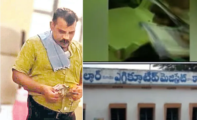 Tehsildar demanded bribe for name change in passbook