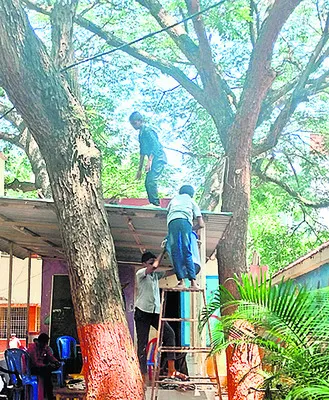 జారిప