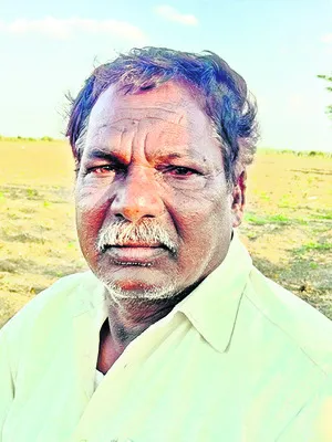 మూడు దఫాలు పత్తి గింజలు వేశాను