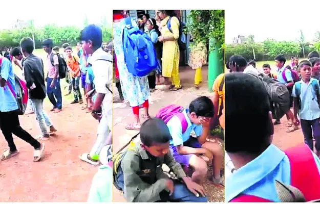 కుక్క