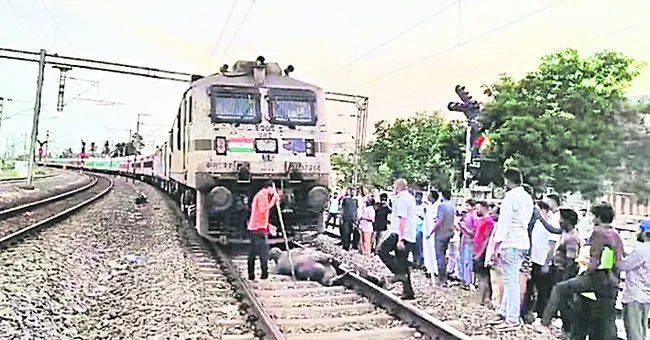 నిలిచిన జోధ్పూర్ ఎక్స్ప్రెస్ రైలు