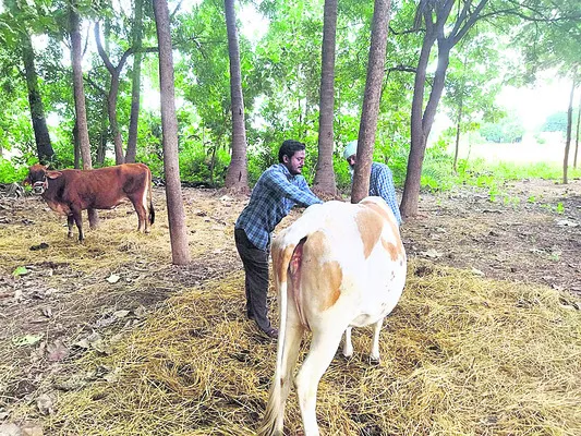 జీతం.. సతమతం