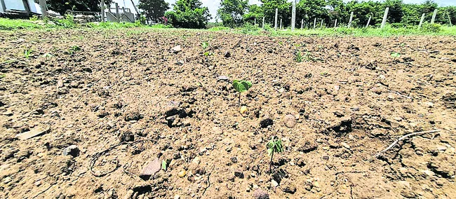 చినుక