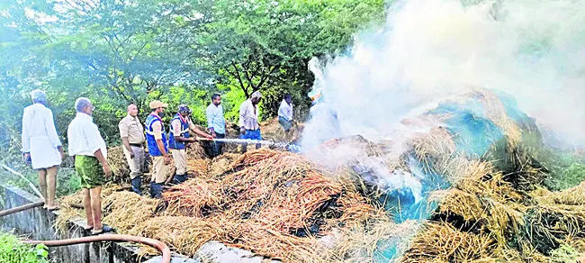ప్రాంగణ ఎంపికల్లో 64 మందికి ఉద్యోగాలు