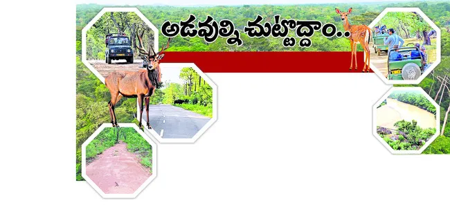 వరంగల