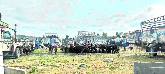 ప్రతి